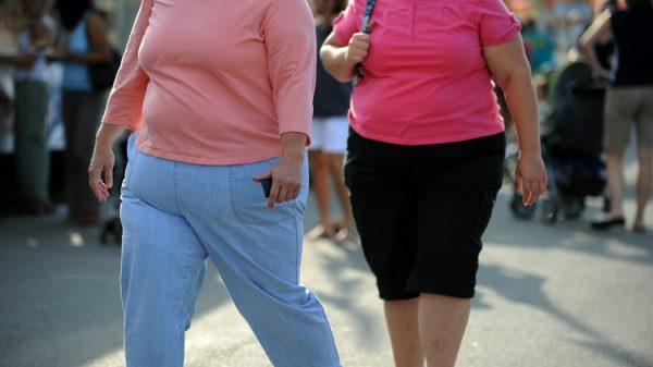 Novo estudo reforça a hipótese do paradoxo da obesidade