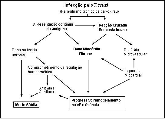 Doença de Chagas: mecanismos de infecção, resposta imune